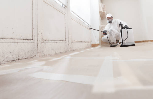 24/7 Emergency Black Mold Remediation experts in Clarksville, TN